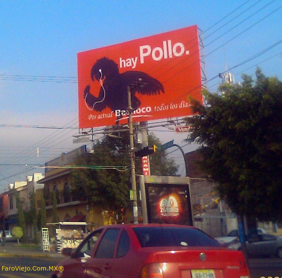 hayPollo - Publicidad de Bachoco